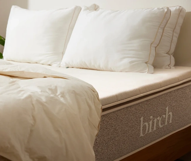Birch Plush Organic Mattress Topper Review 650