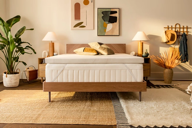 Tempur-Pedic TEMPUR-Adapt Topper Review 650